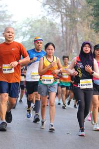 BIB: 17099, 159, 15108, 10709
                            <button type="button" onclick="openModal(10411926)" class="btn btn-primary btn-sm float-right btn-popup" data-toggle="modal" data-target=".modal-high-quality">
                        <i class="fas fa-shopping-cart"></i> Add to Cart
                    </button>
                                            <button type="button" onclick="isThisMe(10411926, true)" class="btn btn-success btn-sm float-right btn-popup btn-isme hidden" data-toggle="tooltip" data-placement="bottom" title="นี่คือรูปของคุณใช่ไหม คลิกที่นี่เพื่อเอาเข้าอัลบั้ม">
                        <i class="fas fa-plus"></i> Add to album
                    </button>
                    <button type="button" onclick="isThisMe(10411926, false)" class="btn btn-warning btn-sm float-right btn-popup btn-isnotme hidden">
                        <i class="fas fa-ban"></i> Remove from album
                    </button>
